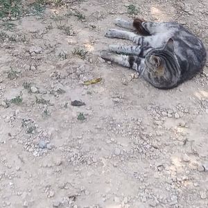 Meet your Posher, Sonja